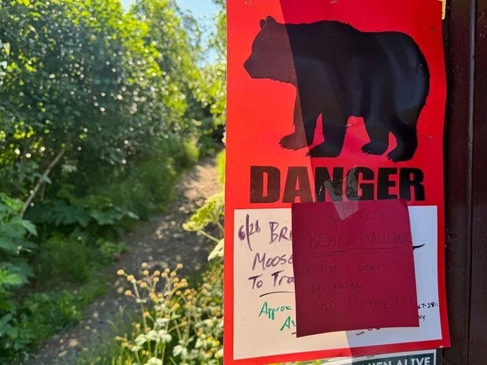 73 yaşlı qadın ayı hücumuna məruz qalıb