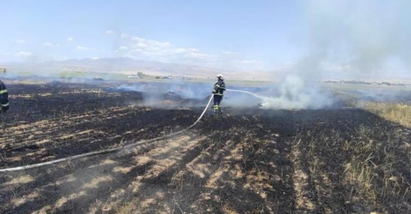 Qubada biçilmiş taxıl sahəsi YANDI
