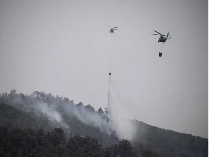 Bolqarıstanda meşə yanğını: Siqaret kötüyü 5000 hektar ərazini yandırıb 