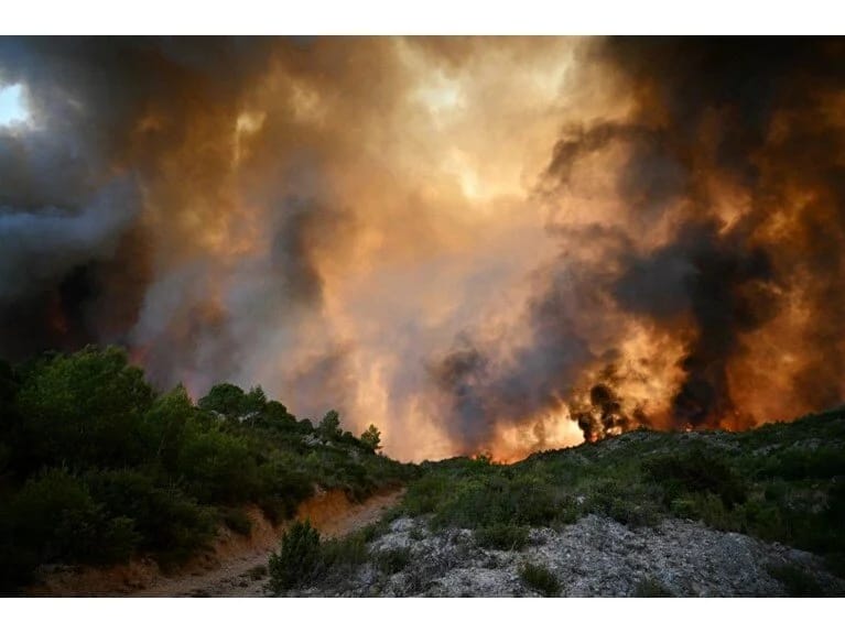Fransada meşə yanğınları: Hökumət səfərbər oldu