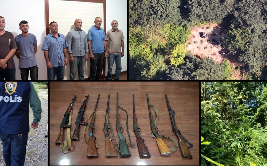 Balakəndə dağda narkotik becərən silahlı dəstə ifşa olunaraq həbs edilib - FOTOLAR