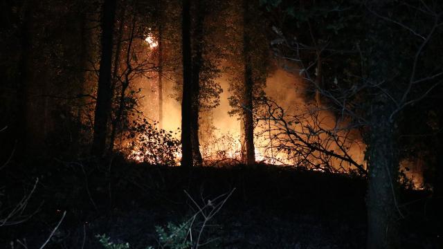 Fransada meşə yanğını Parisdən daha böyük ərazini məhv edib