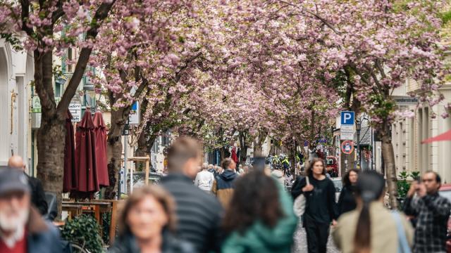 Almaniyada gənclərin sayı rekord həddə düşüb