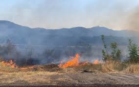 Ağdərədə yanğın törədən şəxs saxlanılıb