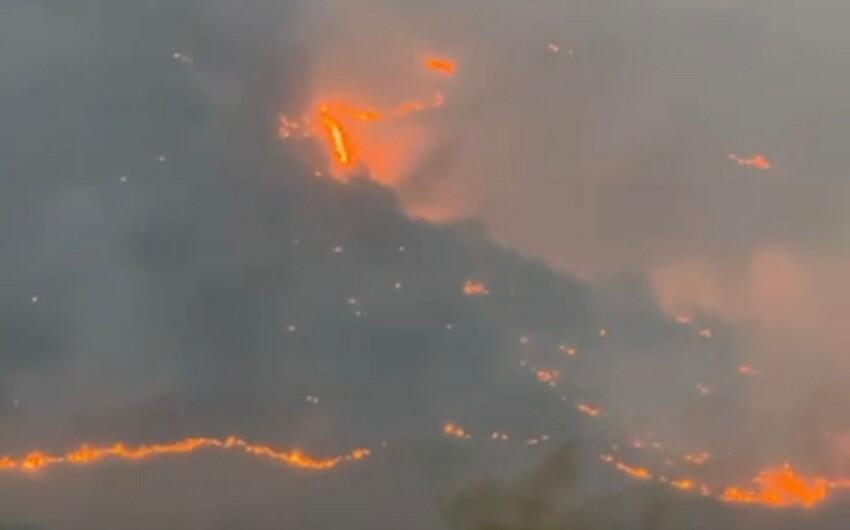 Zəngilanda yanğın törədən şəxs saxlanıldı - FOTOlar