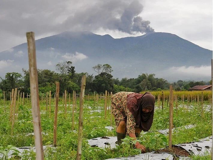 Marapi vulkanı yenidən püskürdü