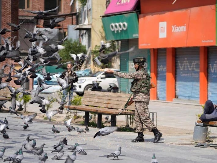 Hindistanda göyərçinləri yemləmək qadağan olundu