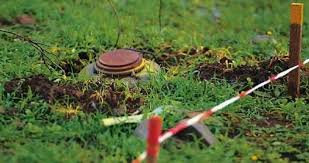 Ötən həftə 1362,7 ha ərazi minalardan təmizlənib