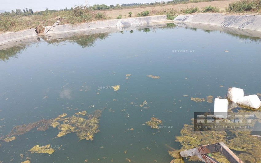 Lənkəranda 18 yaşlı şəxs göldə boğularaq ölüb