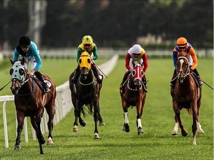 Böyük Britaniyada at yarışları tətili keçiriləcək