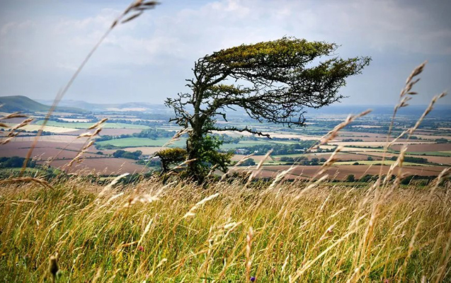 Sabah külək güclənəcək