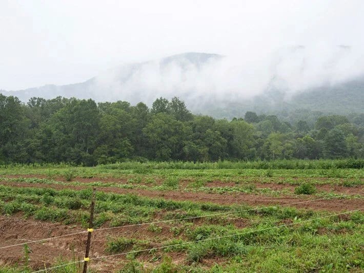 Naməlum obyekt tarlaya düşüb və partlayıb