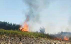 Sabirabadda yanğın törədən şəxs məsuliyyətə cəlb edilib