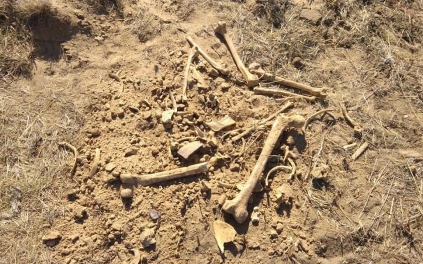 Ağdərədə insana məxsus olduğu ehtimal edilən sümük fraqmentləri aşkarlanıb