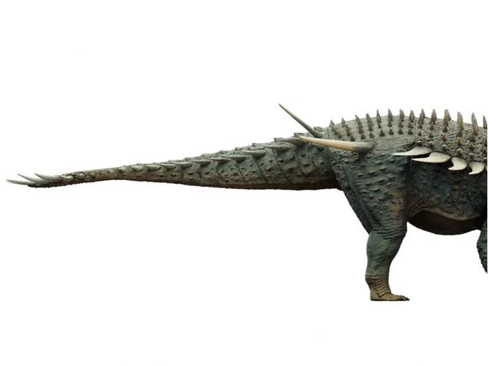 Dünyanın ən qədim zirehli dinozavrı Mərakeşdə aşkar edilib