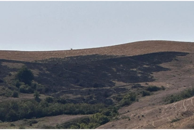 Şamaxıda yanğın törədən şəxs məsuliyyətə cəlb olunub