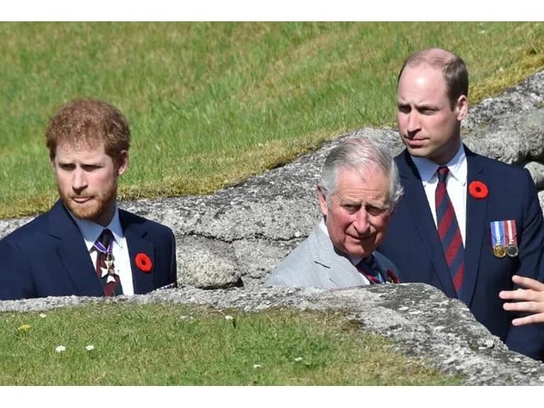 Şahzadə Harri Kral Çarlzla görüşməyə hazırlaşır