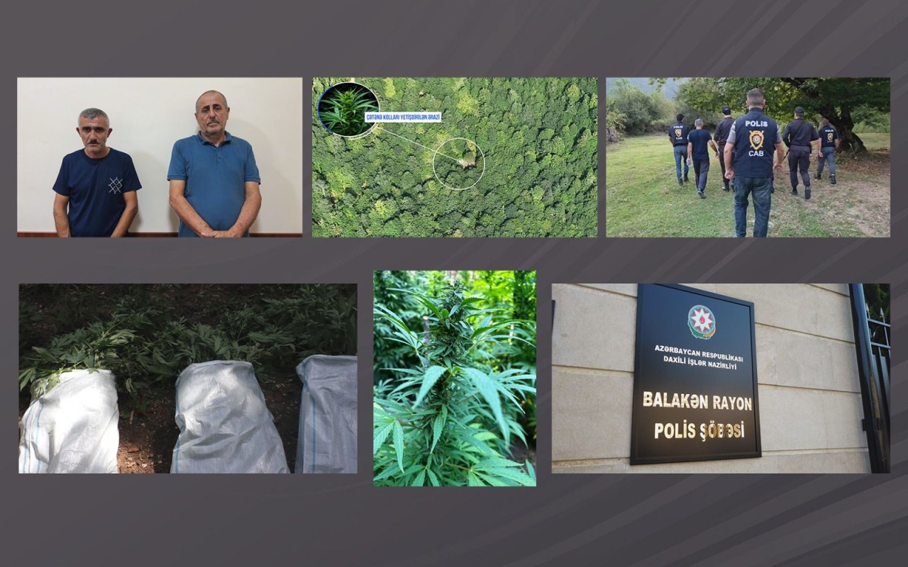 Balakəndə dağlarda narkoplantasiya salan silahlı şəxslər saxlanılıb