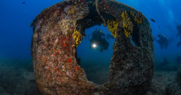Qallipoli Wreck Fest 2025: Çanaqqalanın sualtı irsi dünya gündəmində – FOTOLAR