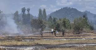 Lənkəranda yanğın törədən şəxs məsuliyyətə cəlb edildi