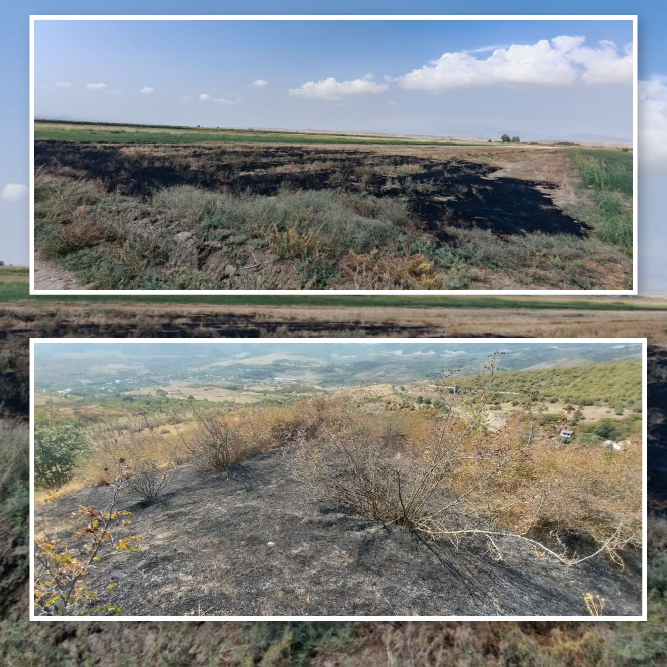 Füzuli və Xocavənddə yanğın törədən şəxslər saxlanıldı