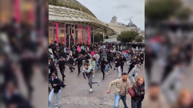 Parisdə pulsuz toyuq izdihamı