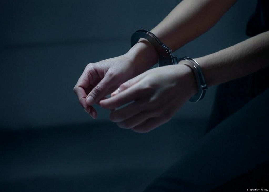 Babək rayonunda oğurluq edən qadın saxlanılıb -FOTO