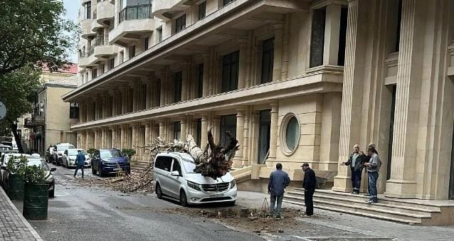 Bakıda ağac avtomobilin üzərinə aşdı