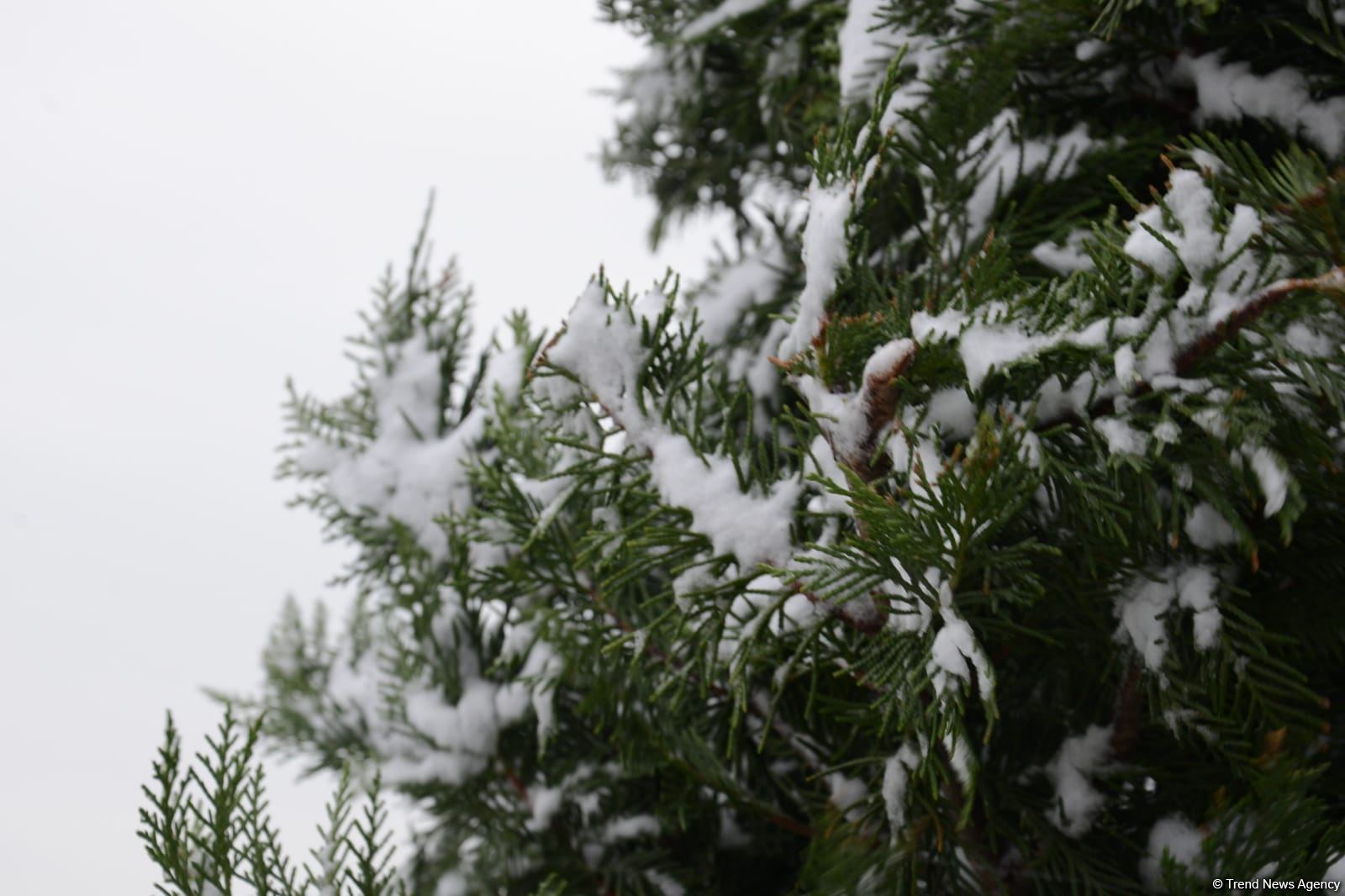 Qar yağacaq, dolu düşəcək - Sabahın HAVASI