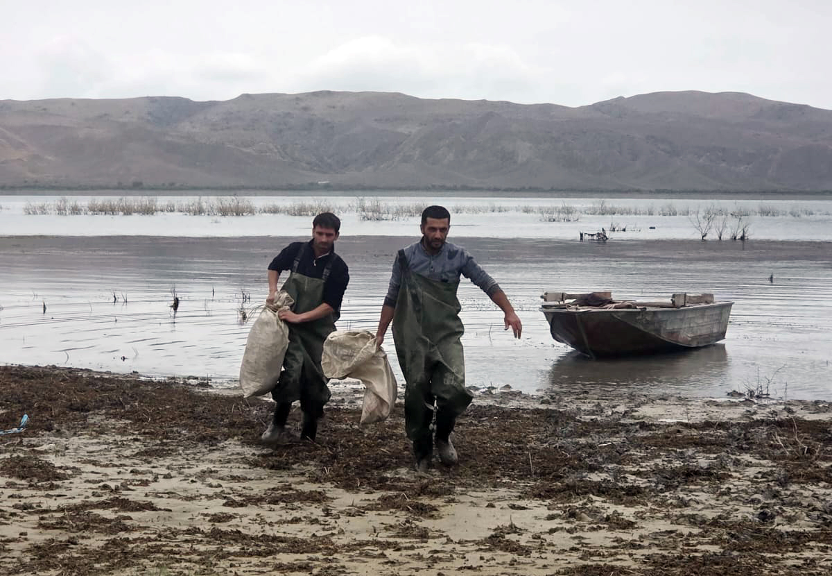 Mingəçevir su anbarı və Kür çayında qanunsuz balıq ovu faktları aşkarlanıb (FOTO)