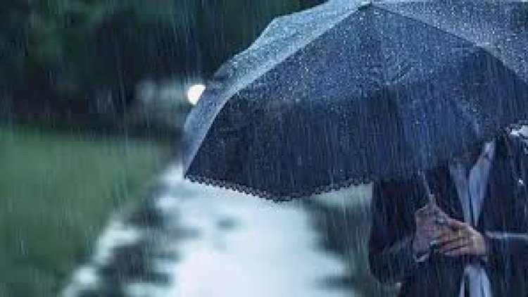 Əksər ərazilərdə yağış yağır, güclü külək əsir - FAKTİKİ HAVA