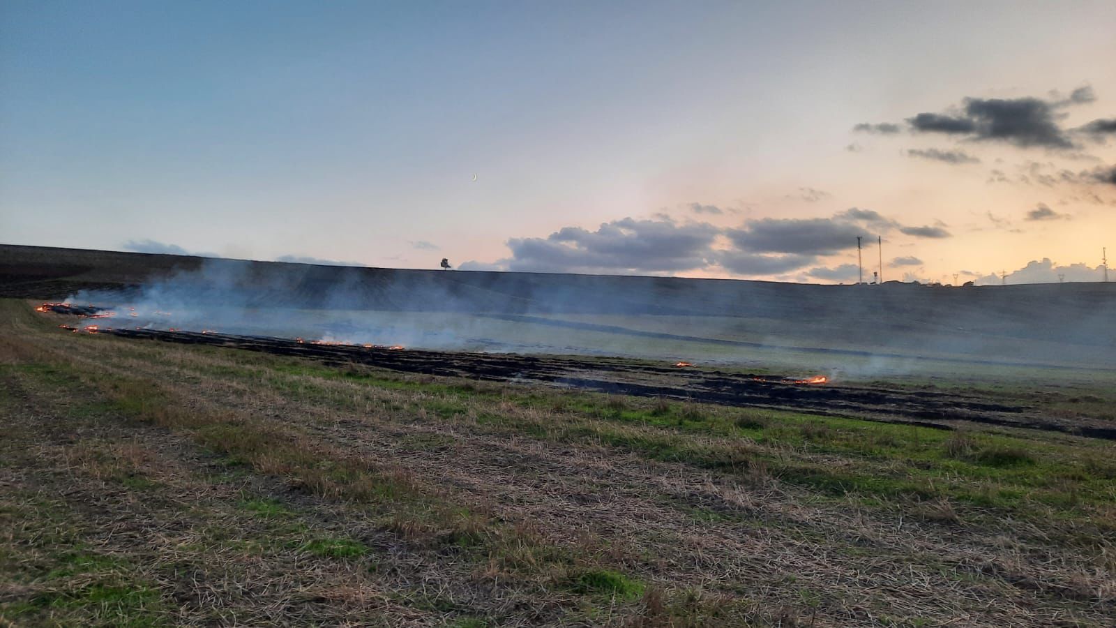 Şamaxıda yanğın törədən şəxs məsuliyyətə cəlb olunub