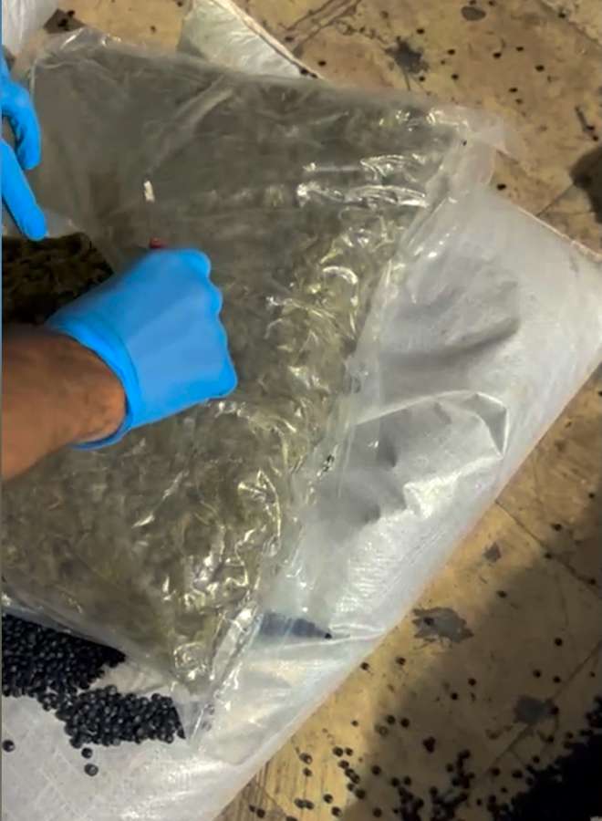 Son 2 gün ərzində 67 kiloqramdan artıq narkotik vasitə dövriyyədən çıxarılıb - DİN