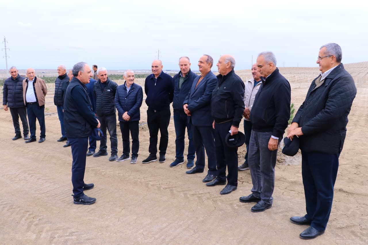 Prokurorluq əməkdaşları ağacəkmə kampaniyası keçirib