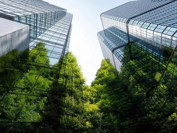 Avropada hər gün 600 futbol sahəsi qədər yaşıl sahə itirilir