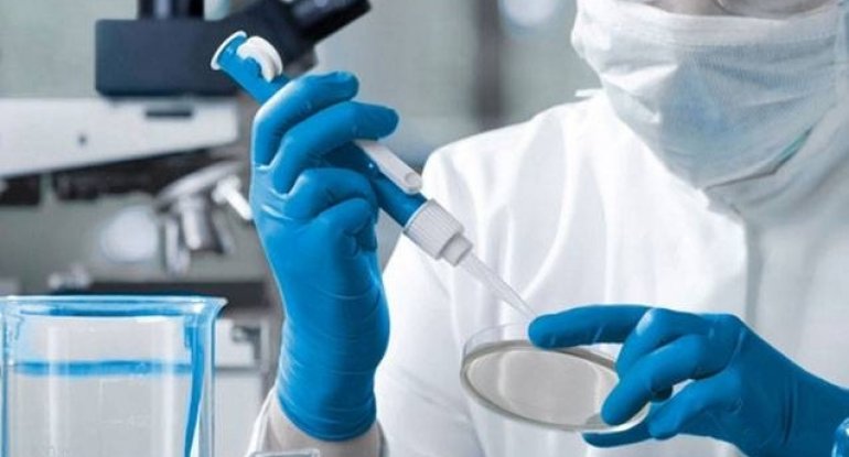 Çində çikunqunya virusuna 3 mindən çox yeni yoluxma qeydə alınıb