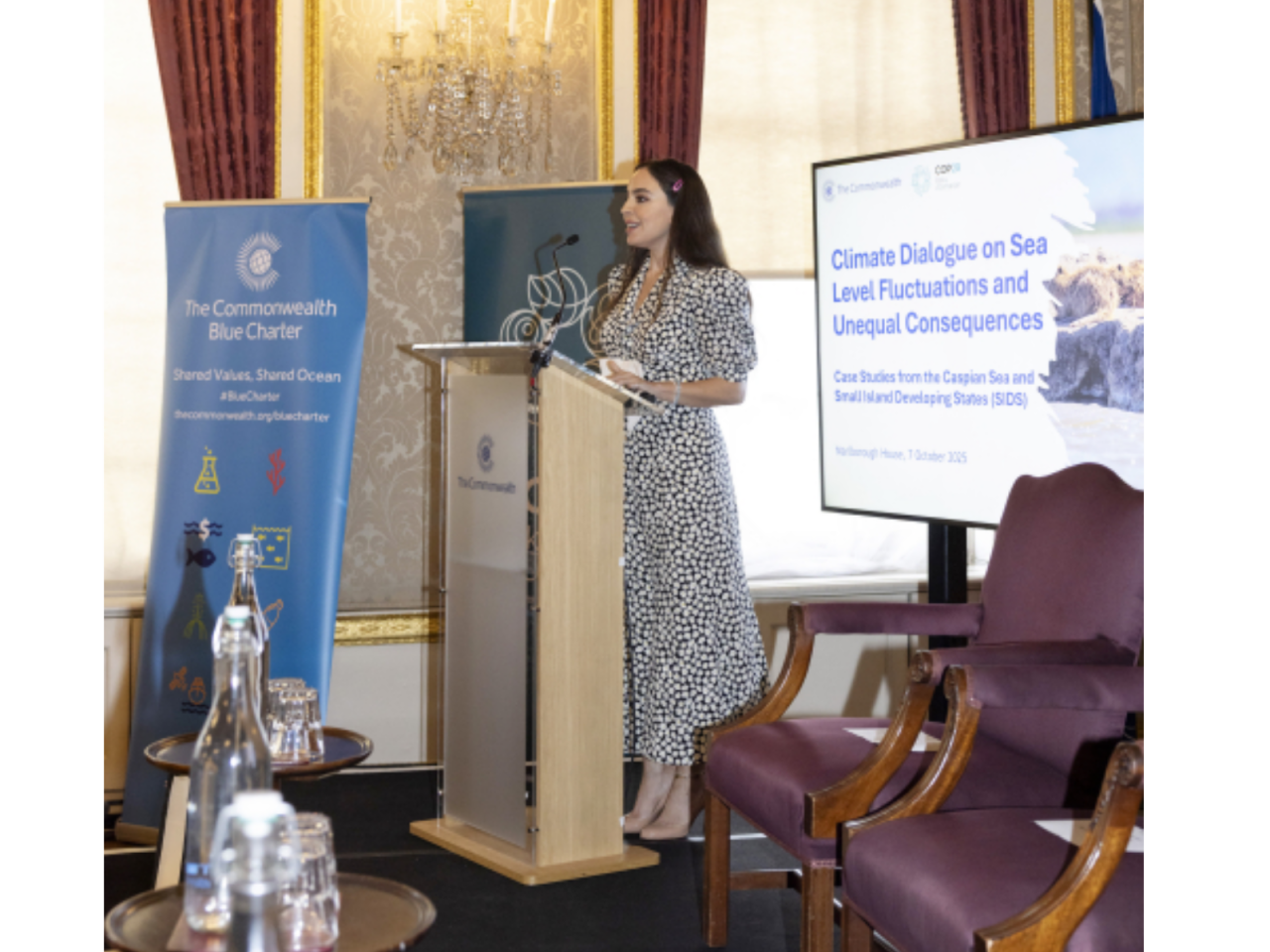 Leyla Əliyeva Londonda yüksəksəviyyəli iqlim dialoqunda iştirak edib - FOTO