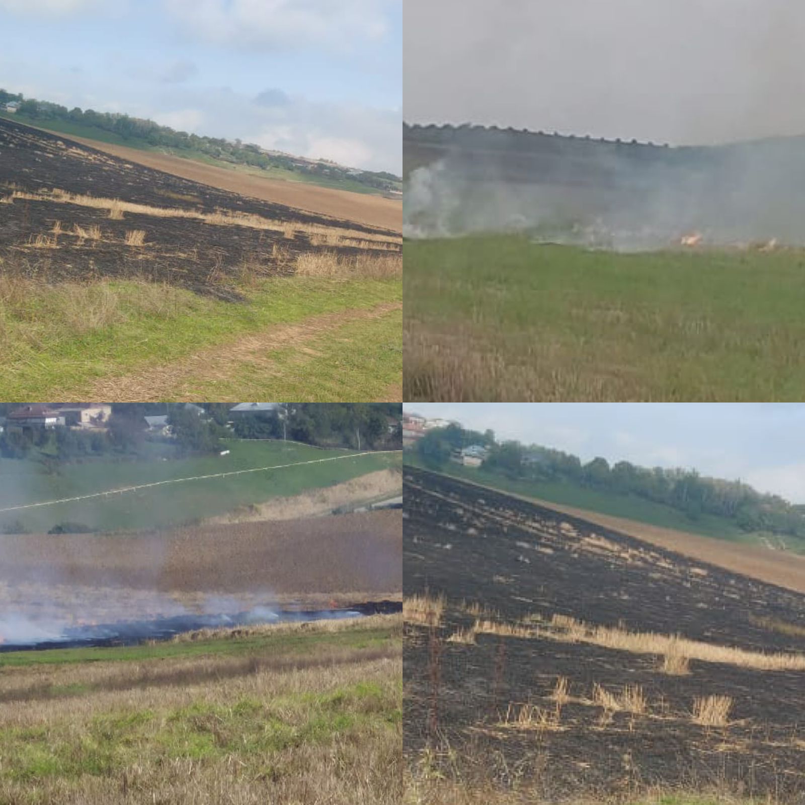 Qusarda əkin sahələrini yandıran 3 nəfər saxlanıldı