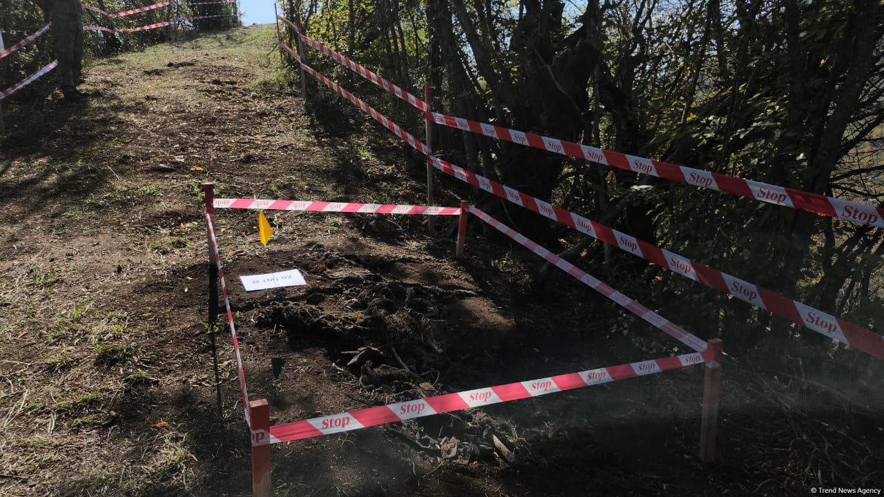 İtkinlərlə bağlı beynəlxalq konfrans iştirakçıları Ağdərədə kütləvi məzarlıqda olublar - FOTO