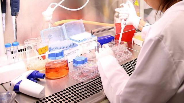 Alimlər hüceyrələri cavan qalmaq üçün aldadan qida molekullarını kəşf ediblər