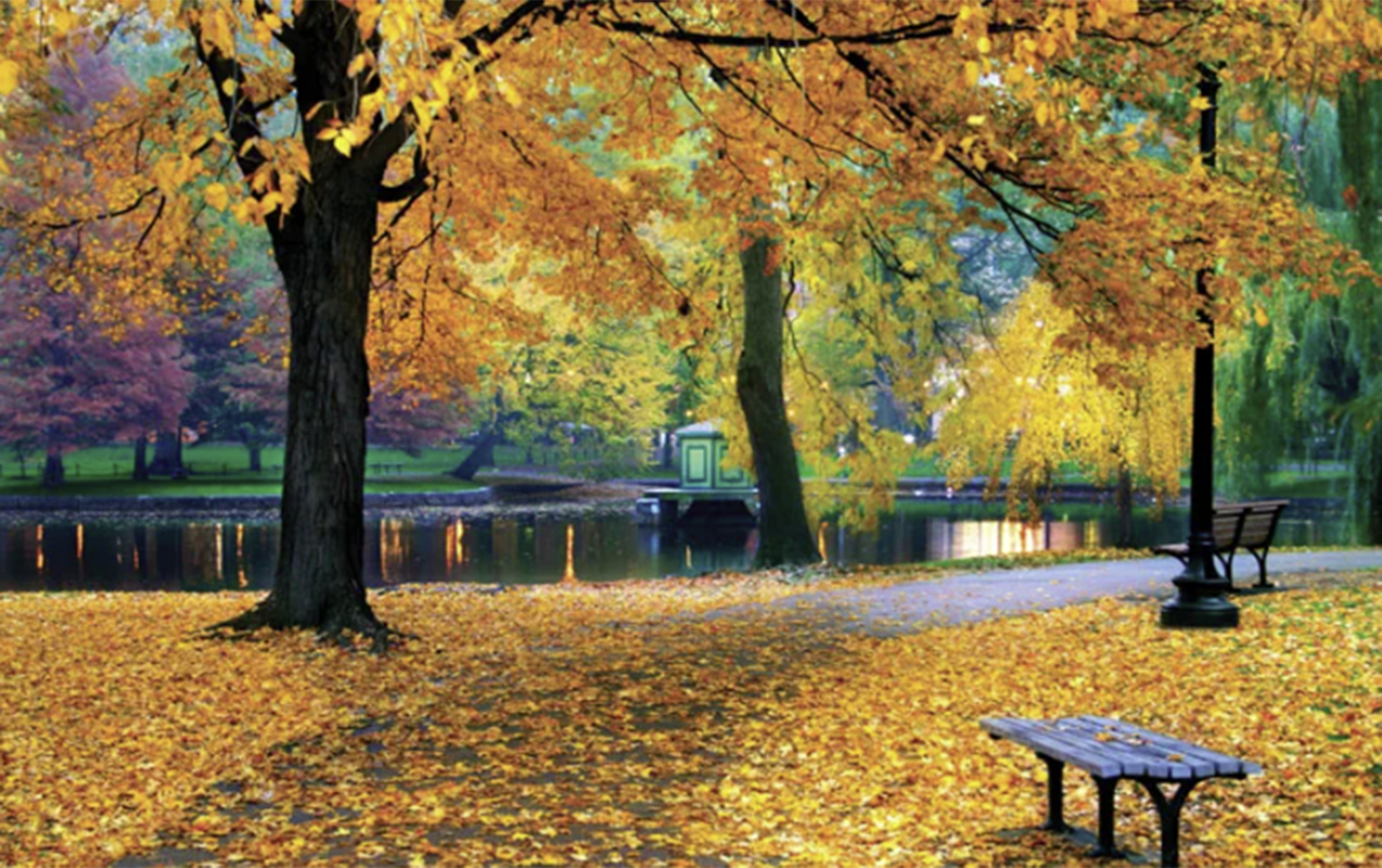 Sabah hava necə olacaq?