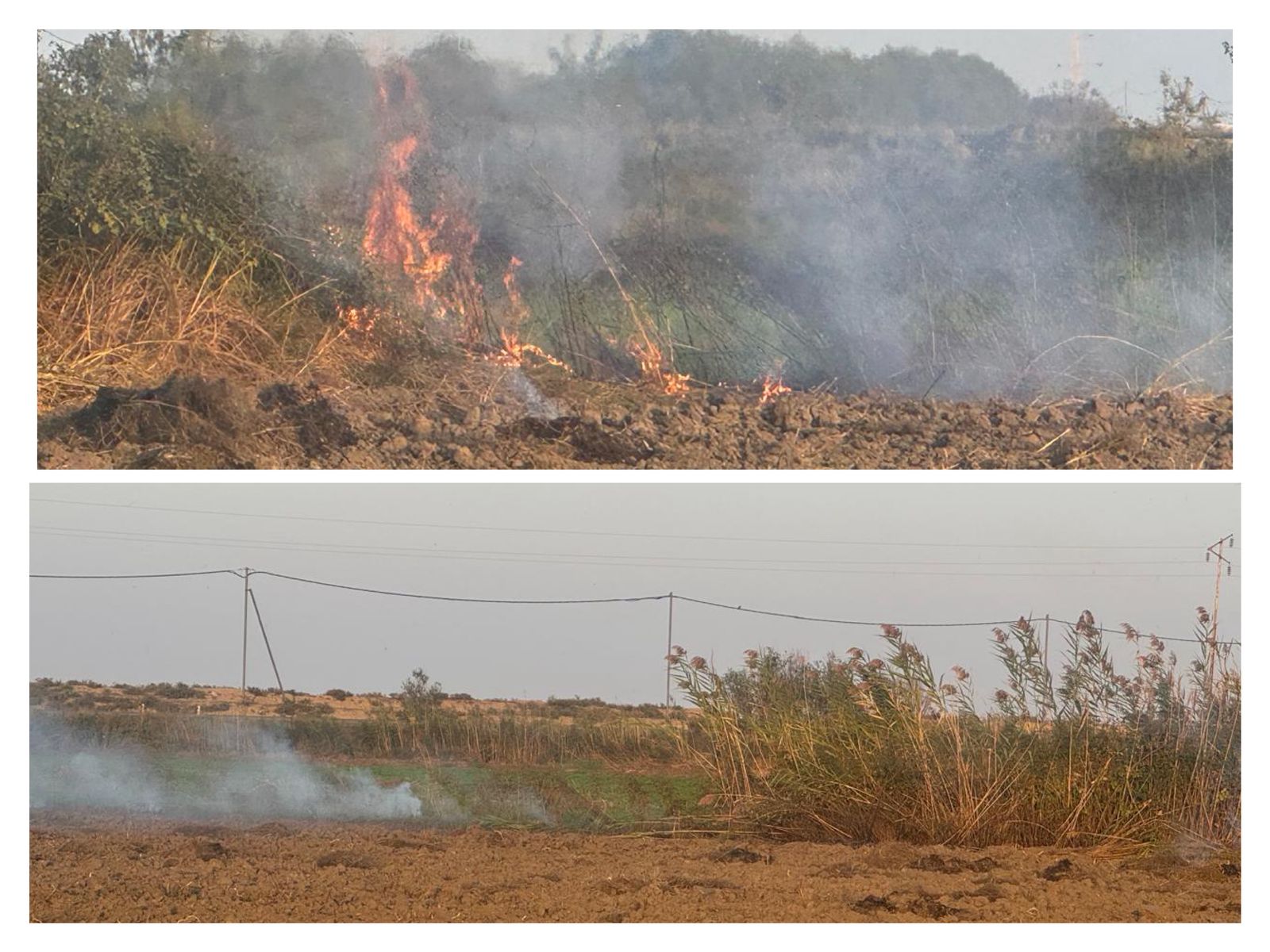 Zərdabda yanğın törədən şəxs məsuliyyətə cəlb olundu