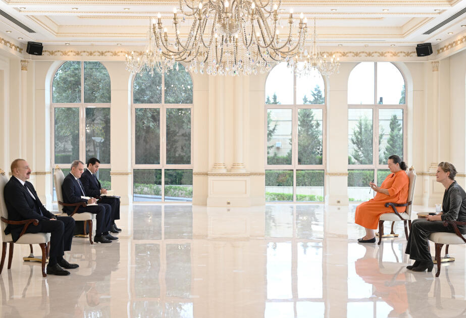 Prezident Niderlandın Azərbaycandakı səfirinin etimadnaməsini qəbul edib -FOTO