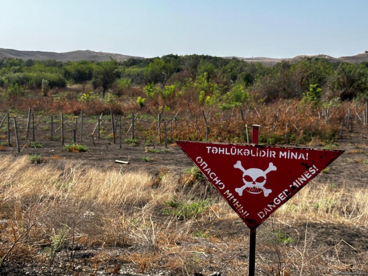 ANAMA əməkdaşı Xocavənddə minaya düşdü