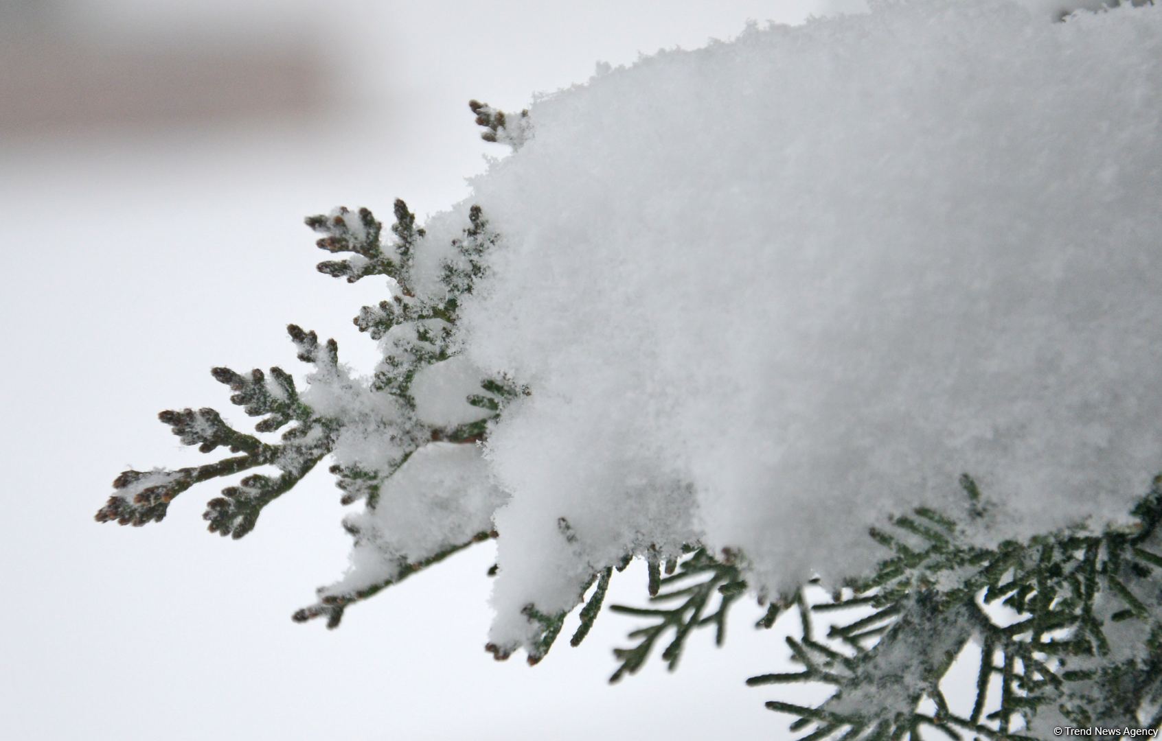 Sabah dağlıq ərazilərdə qar yağacaq