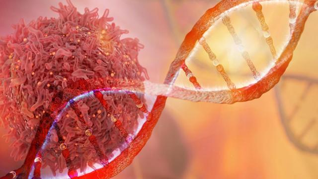 Ölümcül xəstəliklərin sirri həll edildi