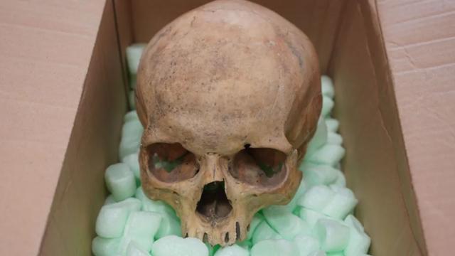 60 il əvvəl oğurlanan kəllə sümüyü geri qaytarılıb