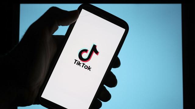 Fransada TikTok alqoritminə qarşı ilkin araşdırma başlayıb