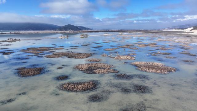 Dünyanın illik şirin su itkisi 280 milyon insanın ehtiyacını ödəyə bilər