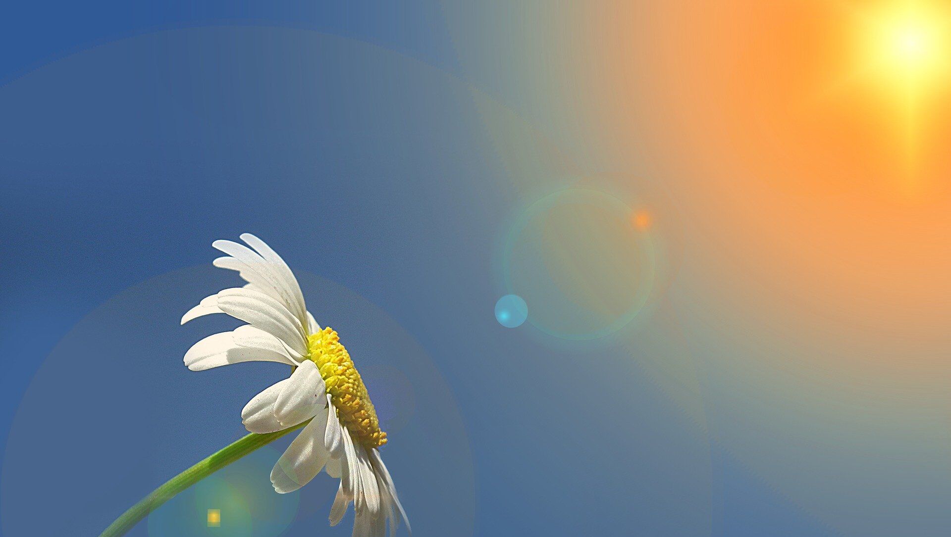 Sabah 23 dərəcə isti olacaq